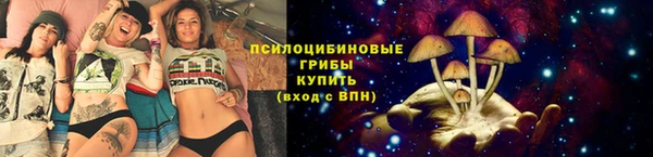 прущий лед Алзамай
