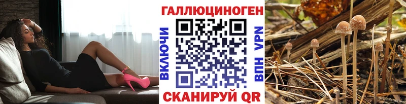 Галлюциногенные грибы мицелий  Анадырь 
